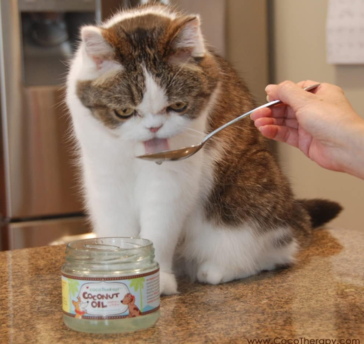 CocoTherapy Organic Virgin Coconut Oil: Natural Supplement for Pet Skin, Coat, Digestion, Immunity