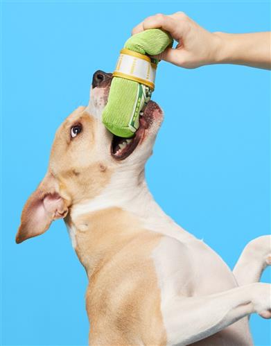 Bark Doggo Bills Plush Squeaky Crinkly Corduroy Money Stack Dog Toy