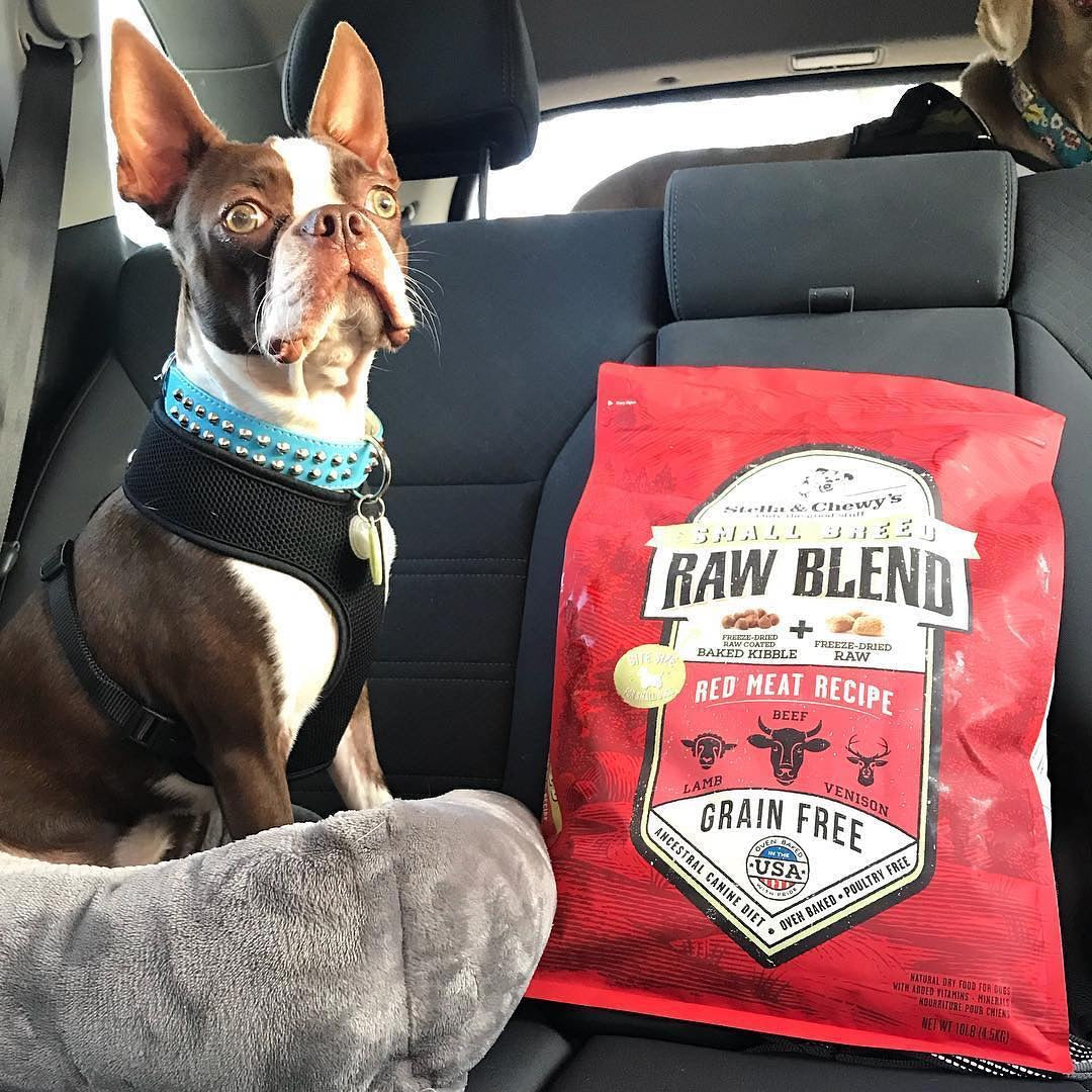 Stella & Chewy's Raw Blend Red Meat Small Breed Dog Food - Protein-Rich Grain-Free Kibble