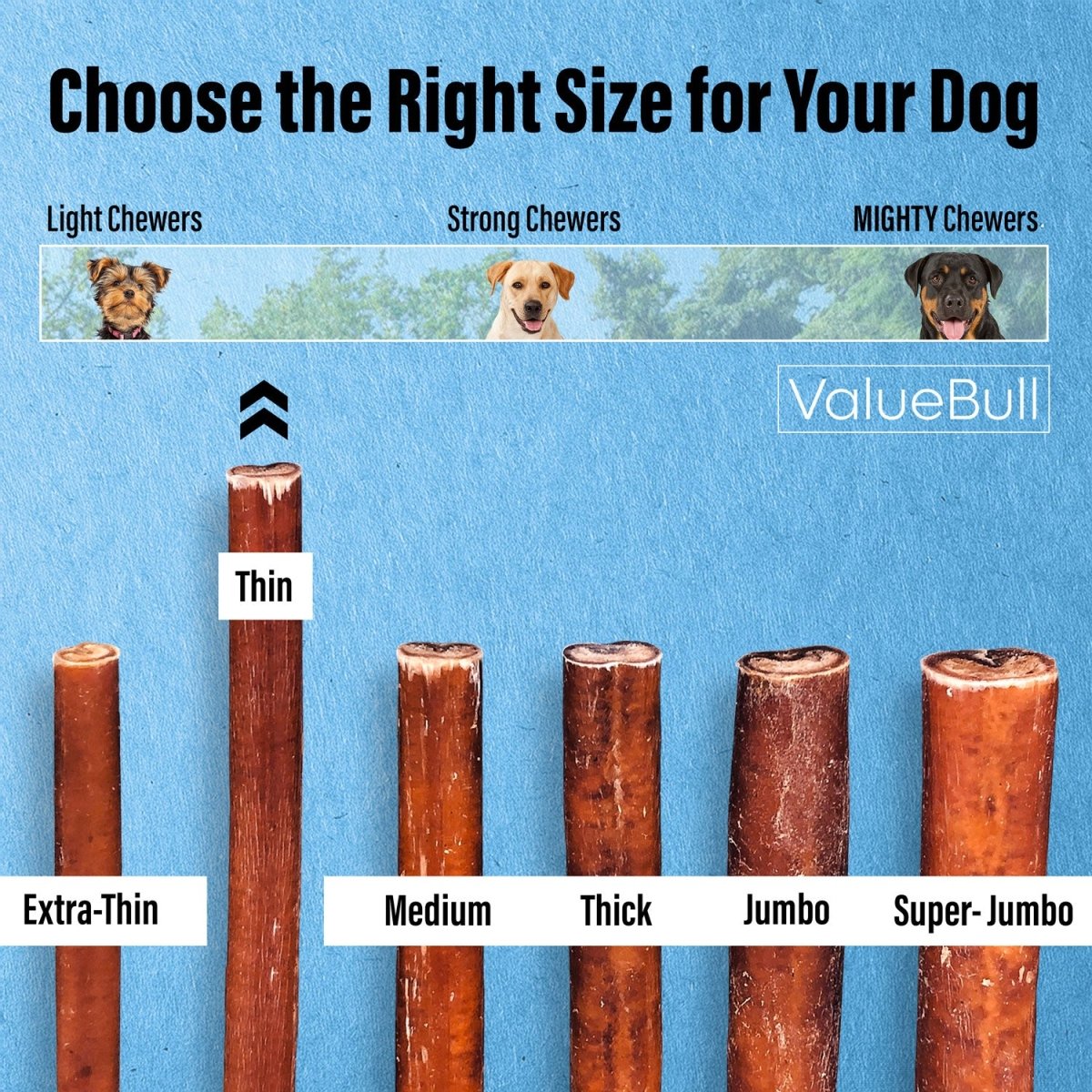 ValueBull Thin 6-Inch Bully Sticks - 200 Count Natural Dog Chews for Small Dogs