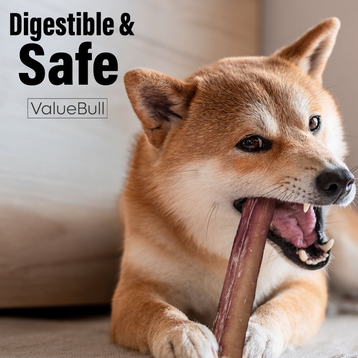 ValueBull Thin 6-Inch Bully Sticks - 200 Count Natural Dog Chews for Small Dogs