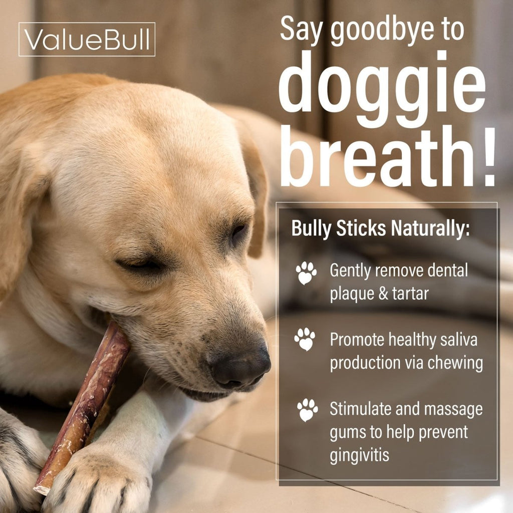 ValueBull Thin 6-Inch Bully Sticks - 200 Count Natural Dog Chews for Small Dogs
