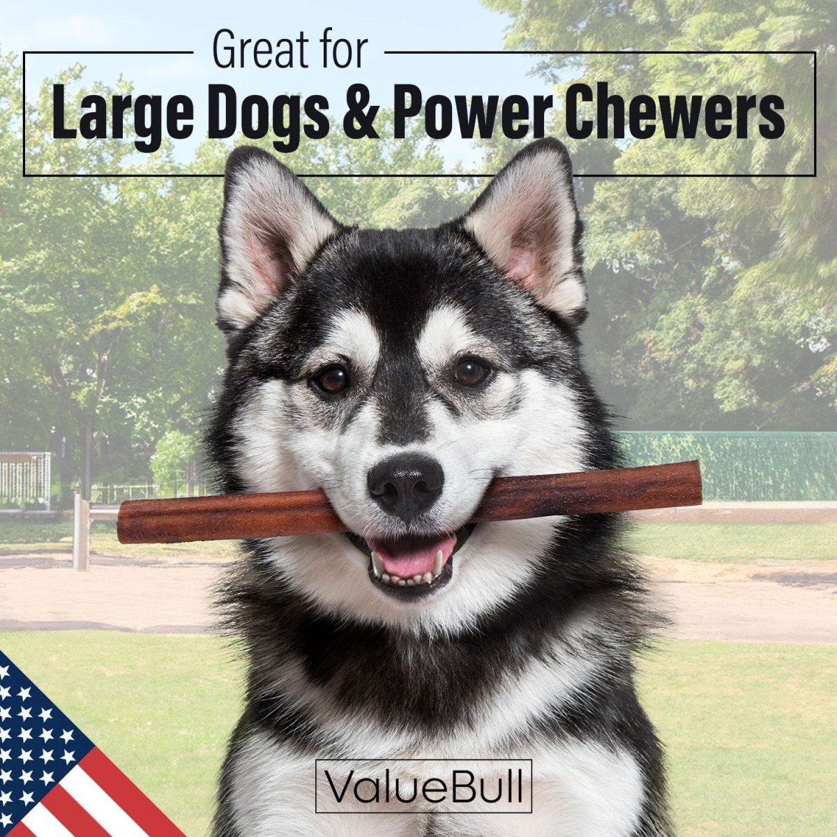 ValueBull USA 12-Inch Jumbo Collagen Dog Chews: Natural Long-Lasting Bulk Treats