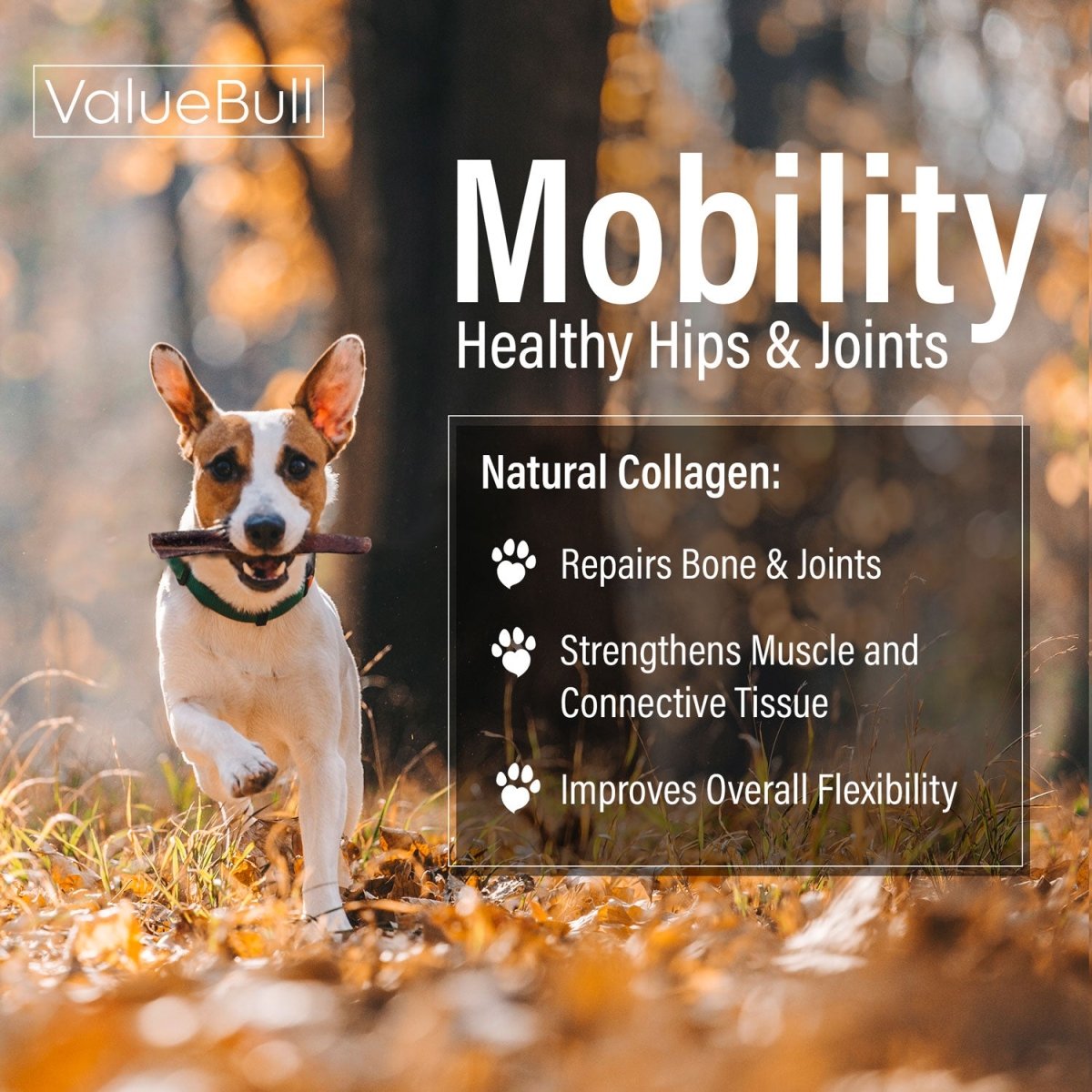 ValueBull Collagen Sticks: Natural Long-Lasting Beef Dog Chews for Joint & Skin Health