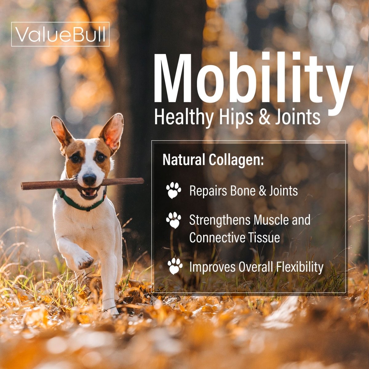 ValueBull 12-Inch Collagen Sticks: Natural, Long-Lasting Beef Dog Chews, 10 Count