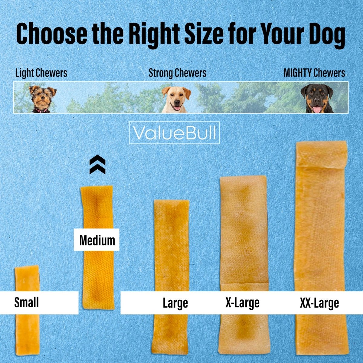ValueBull Himalayan Yak Cheese Dog Chews: Long-Lasting Natural Healthy Treat for Dogs